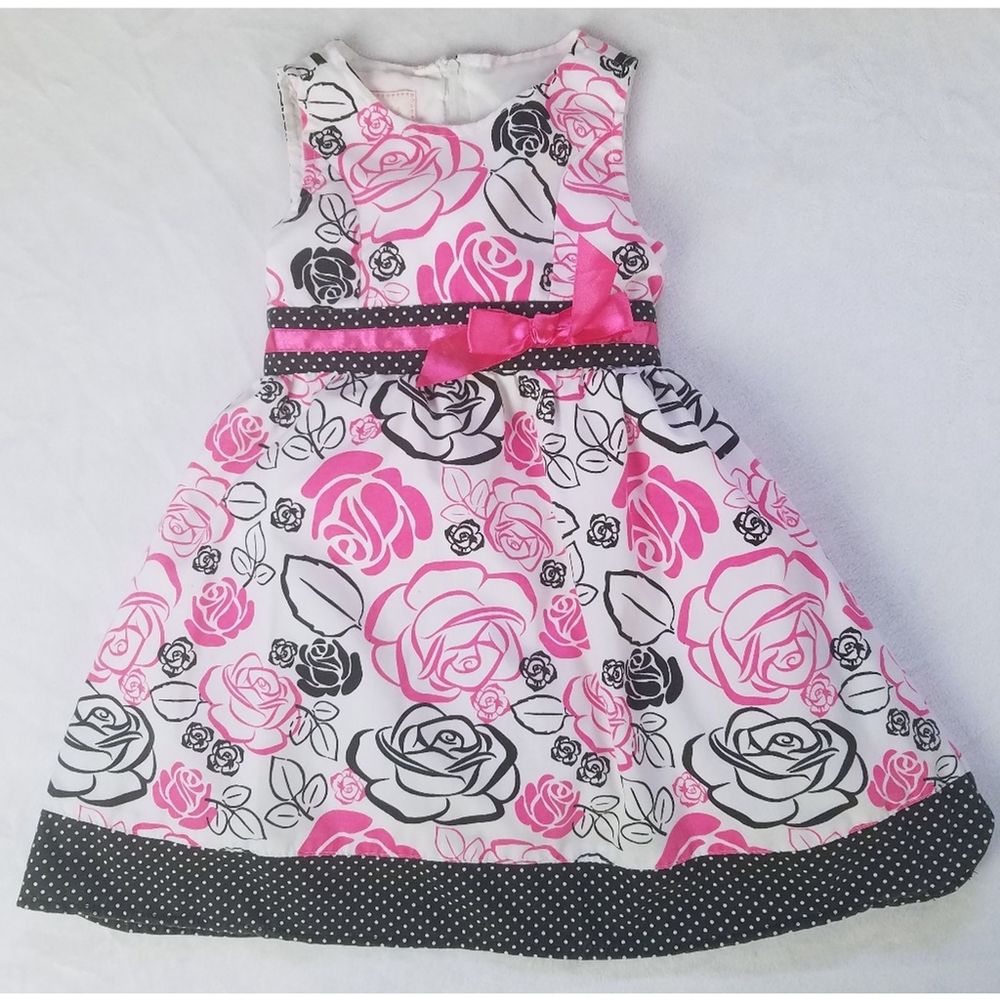 Sophie Fae Floral Rose Dress sz 3T